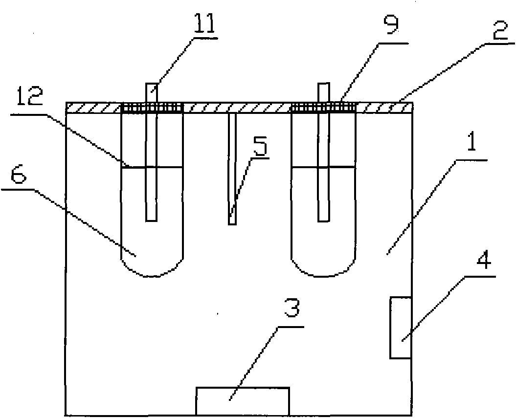 Rapid determinator for copper strip corrosion