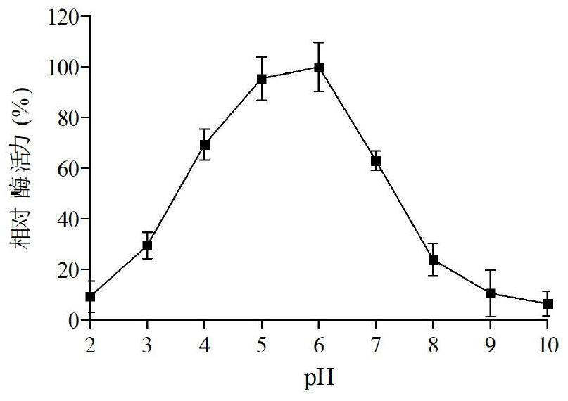 Xylanase Scxyn5 as well as coding gene and application thereof