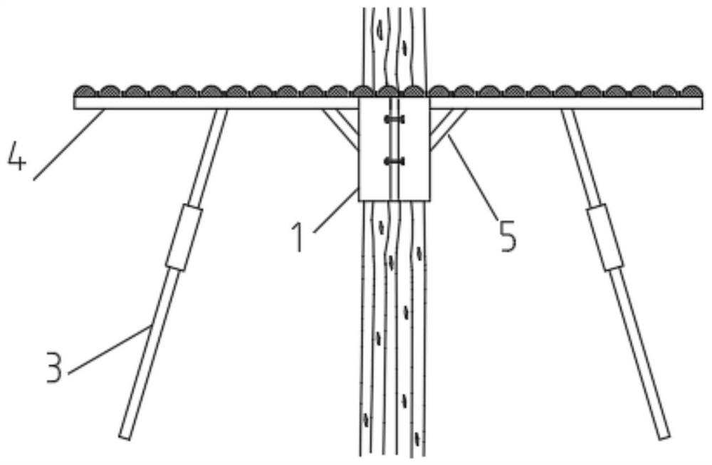 Panda roost device easy to install and installation method