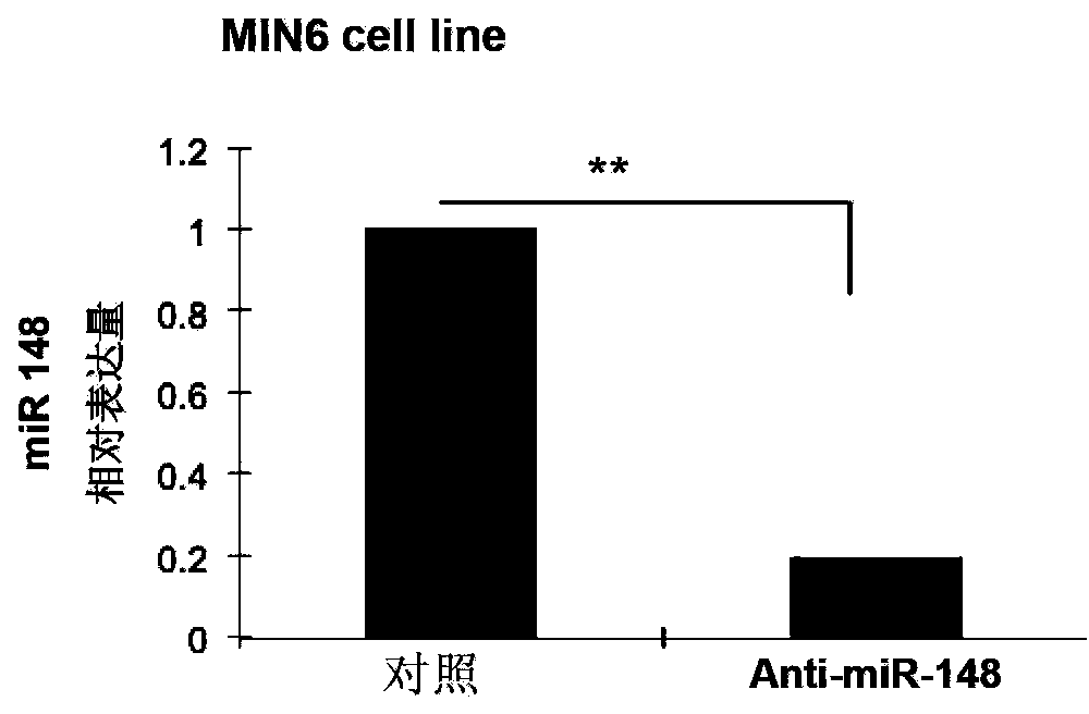 Application of miR-148 to proliferation of pancreatic beta cells