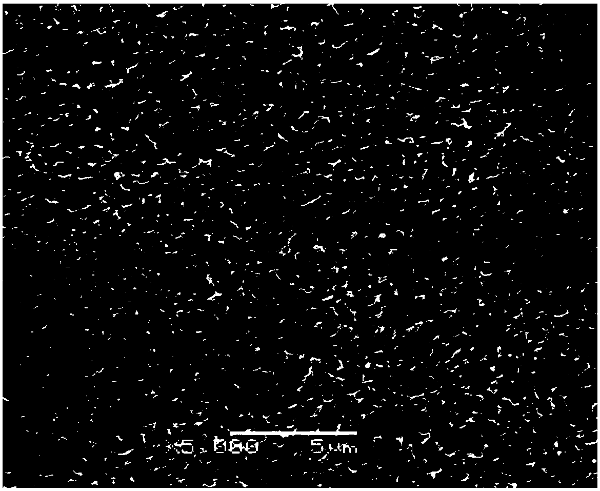 Texturing method for polysilicon wafer cutting by diamond wire