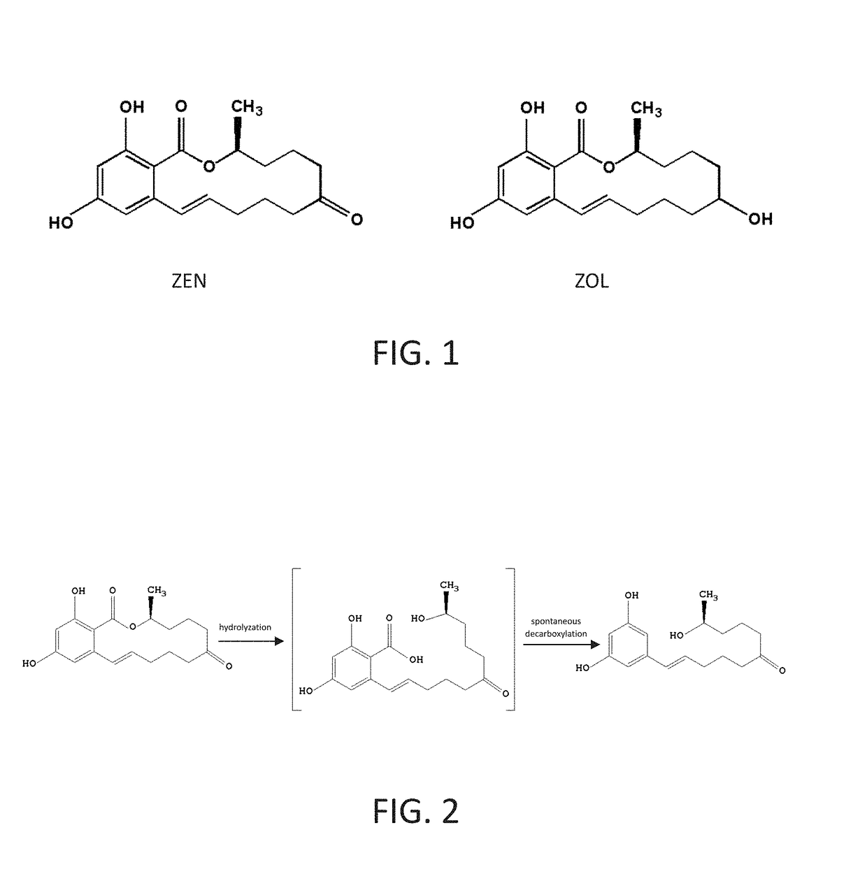 Lactone hydrolase and method of degrading alpha-zearalenol using the same