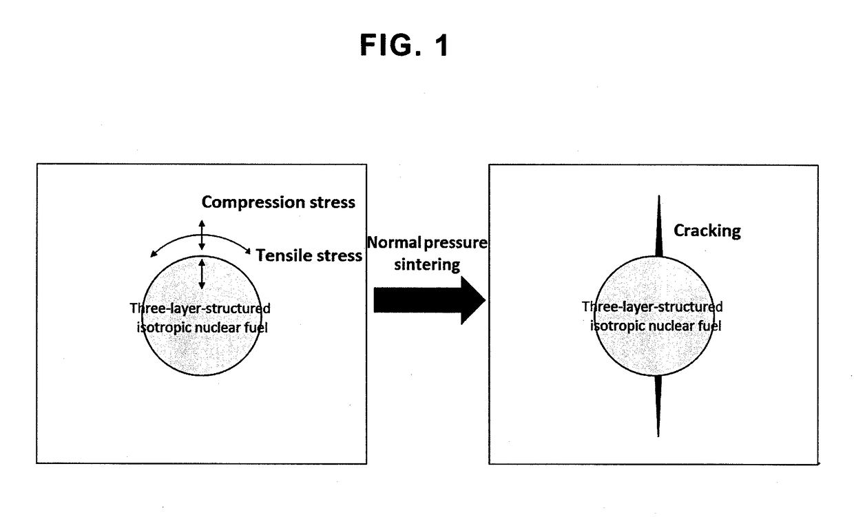 Fully ceramic capsulated nuclear fuel composition containing three-layer-structured isotropic nuclear fuel particles with coating layer having higher shrinkage than matrix, material thereof and method for preparing the same