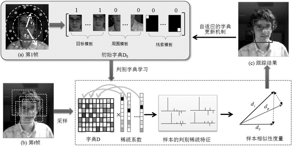 Target tracking method based on sparse discriminant learning