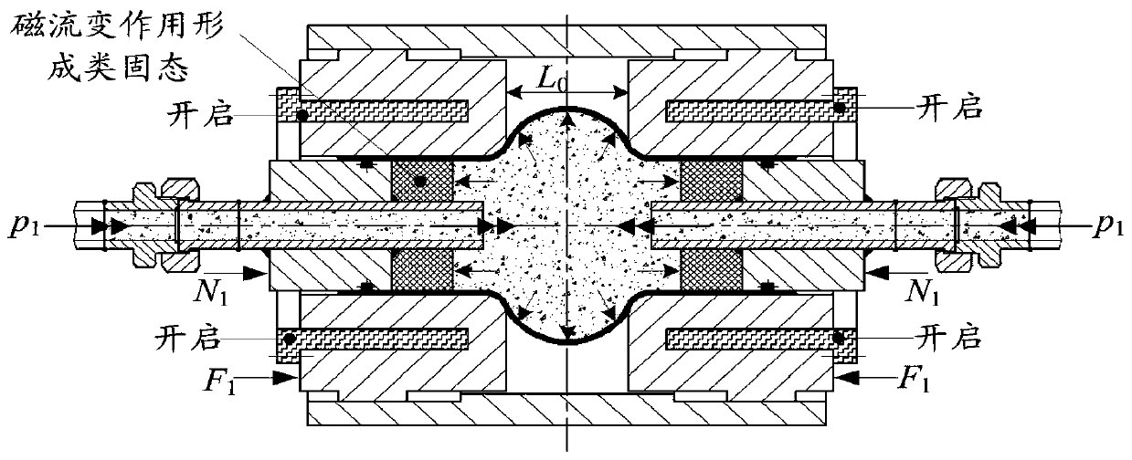 Magnetorheological fluid-assisted tube expansion and compression forming device and processing technique, and relates to the technical field of tube high-pressure forming