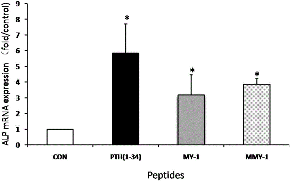 PTH mimic peptide and application thereof