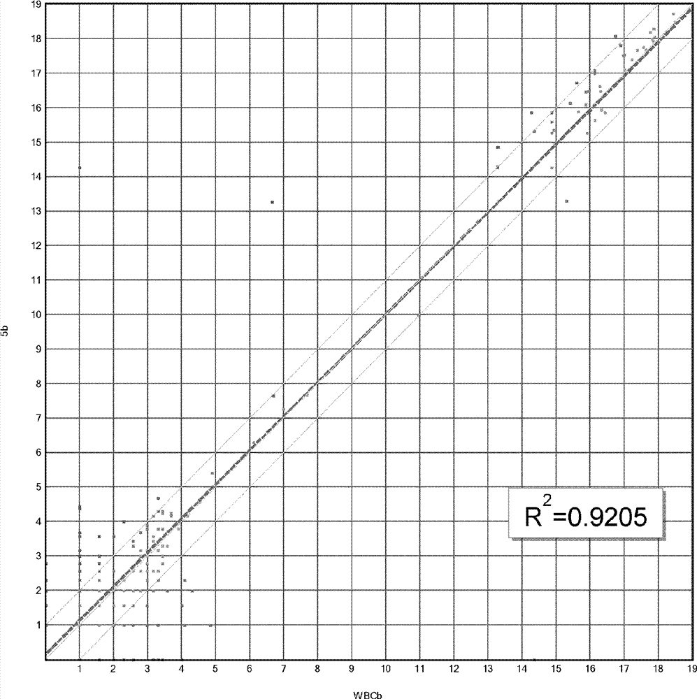 Dual enzymatic amplification