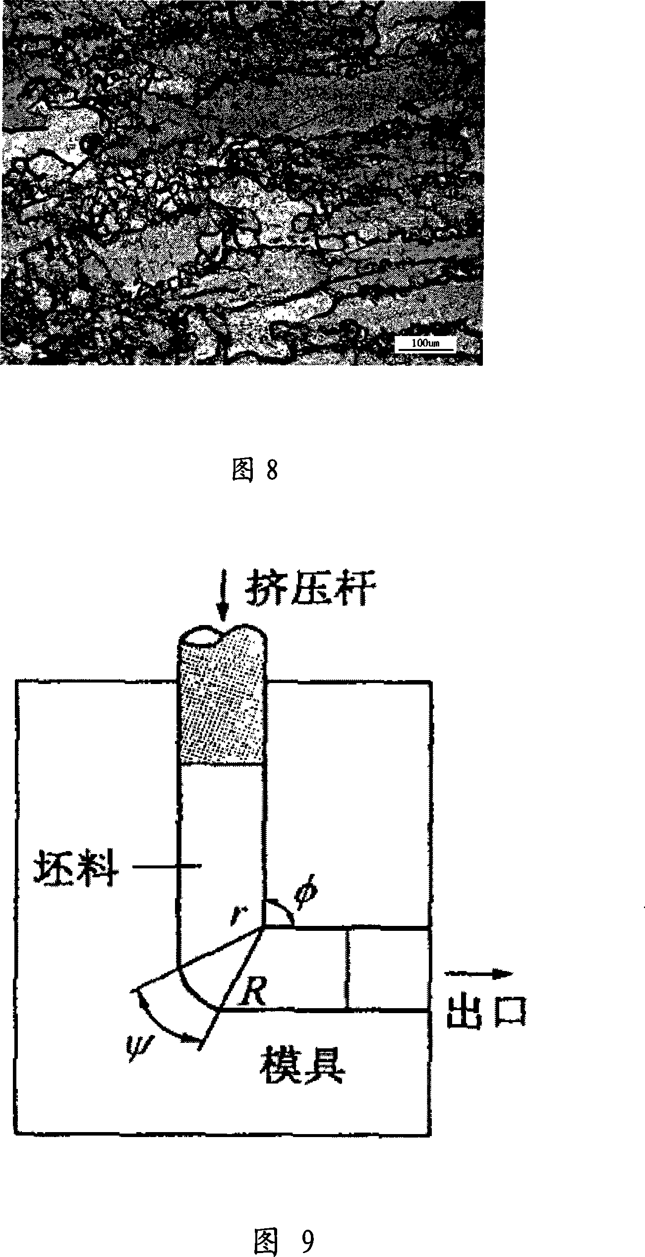 Processing method of magnesium alloy compressional deformation and mold