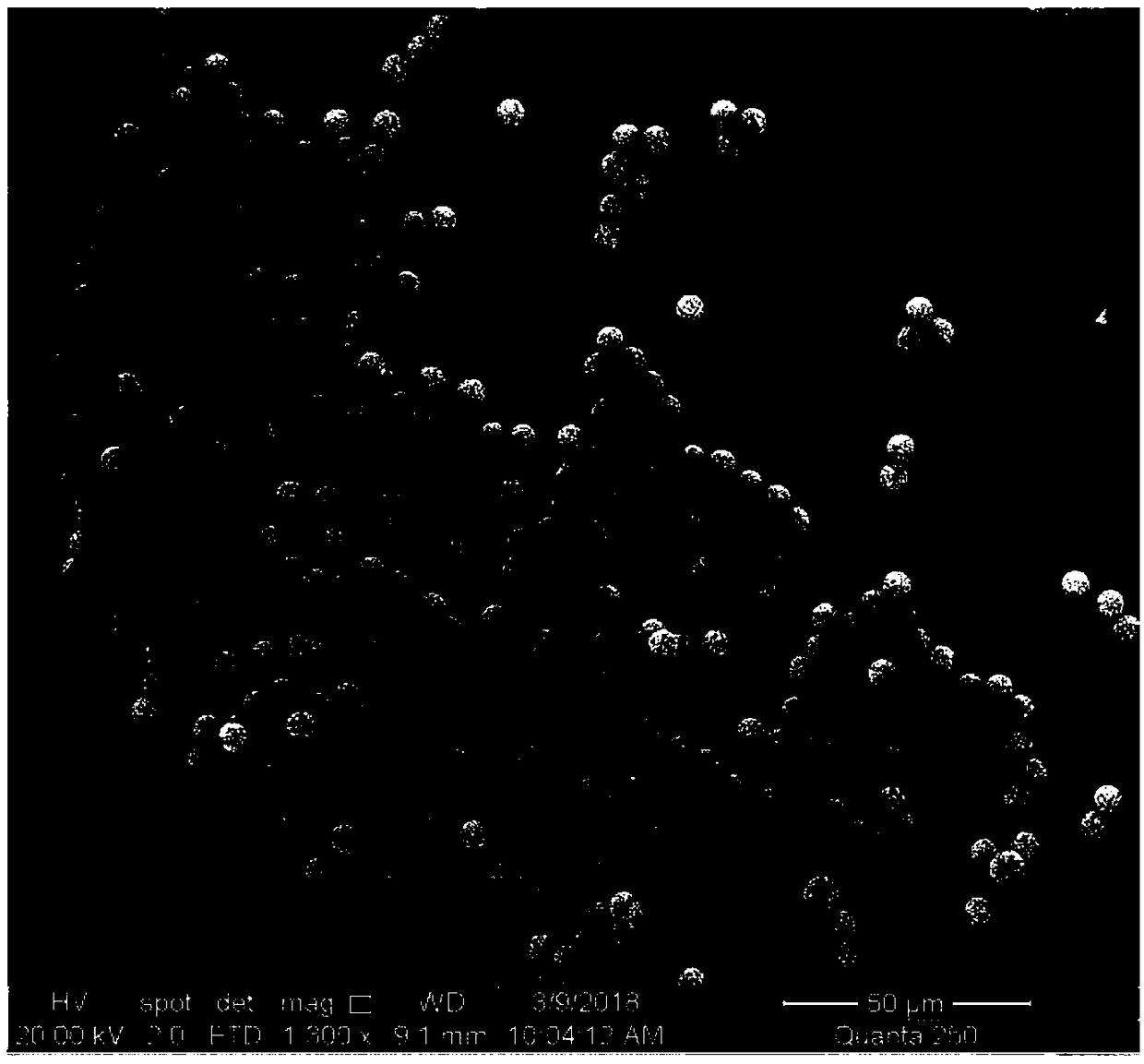 Carboxyl magnetic microspheres, preparation method and application