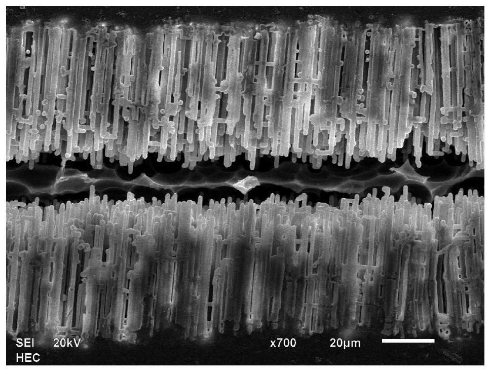 Pretreatment method for preparing medium-high pressure corrosion foil and application of pretreatment method