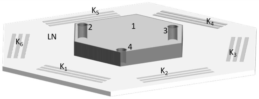 A hexagonal surface wave acoustic tweezers chip for cell arrangement and assembly