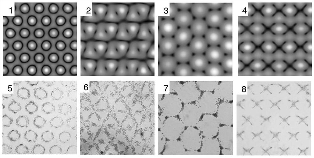 A hexagonal surface wave acoustic tweezers chip for cell arrangement and assembly