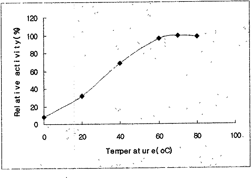 Method for producing starch glue by low-temperature fast enzymatic conversion