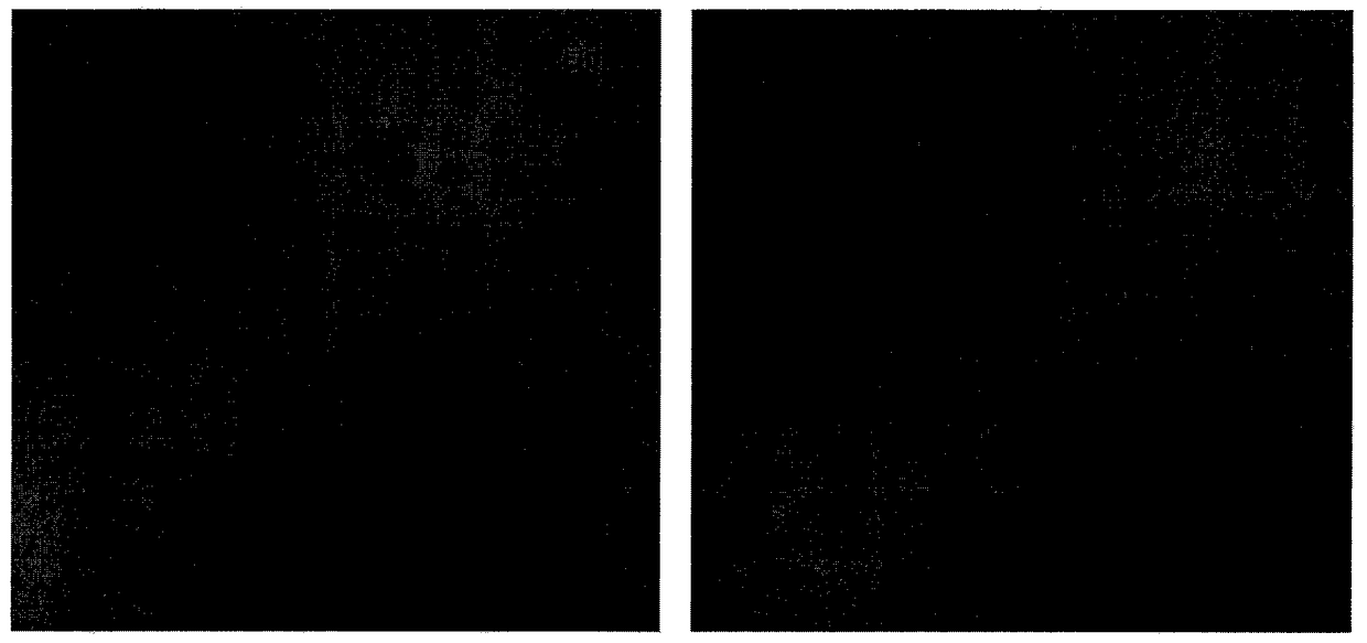 LED light-curing solvent-free photosensitive transfer adhesive for cover glass substrate and preparation method thereof