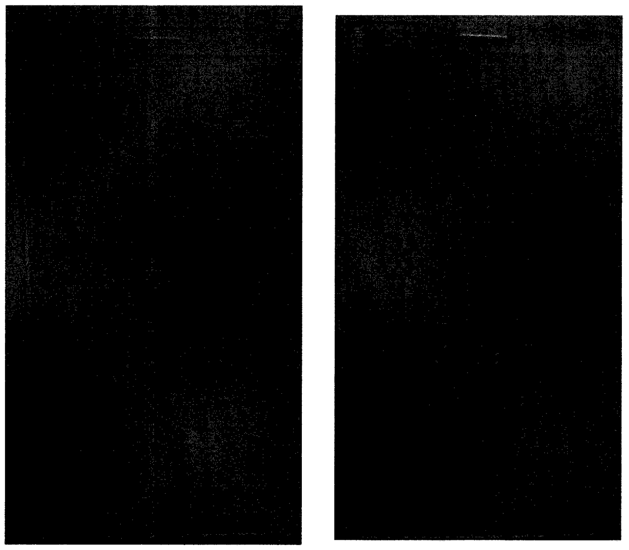 LED light-curing solvent-free photosensitive transfer adhesive for cover glass substrate and preparation method thereof