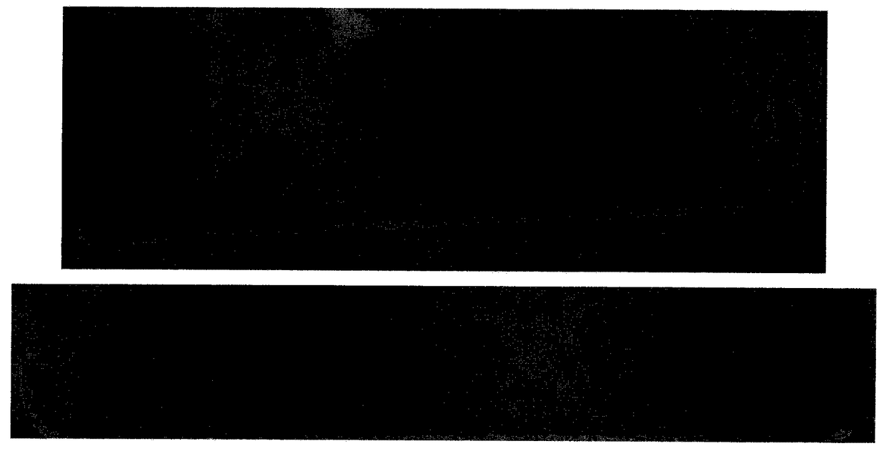 LED light-curing solvent-free photosensitive transfer adhesive for cover glass substrate and preparation method thereof