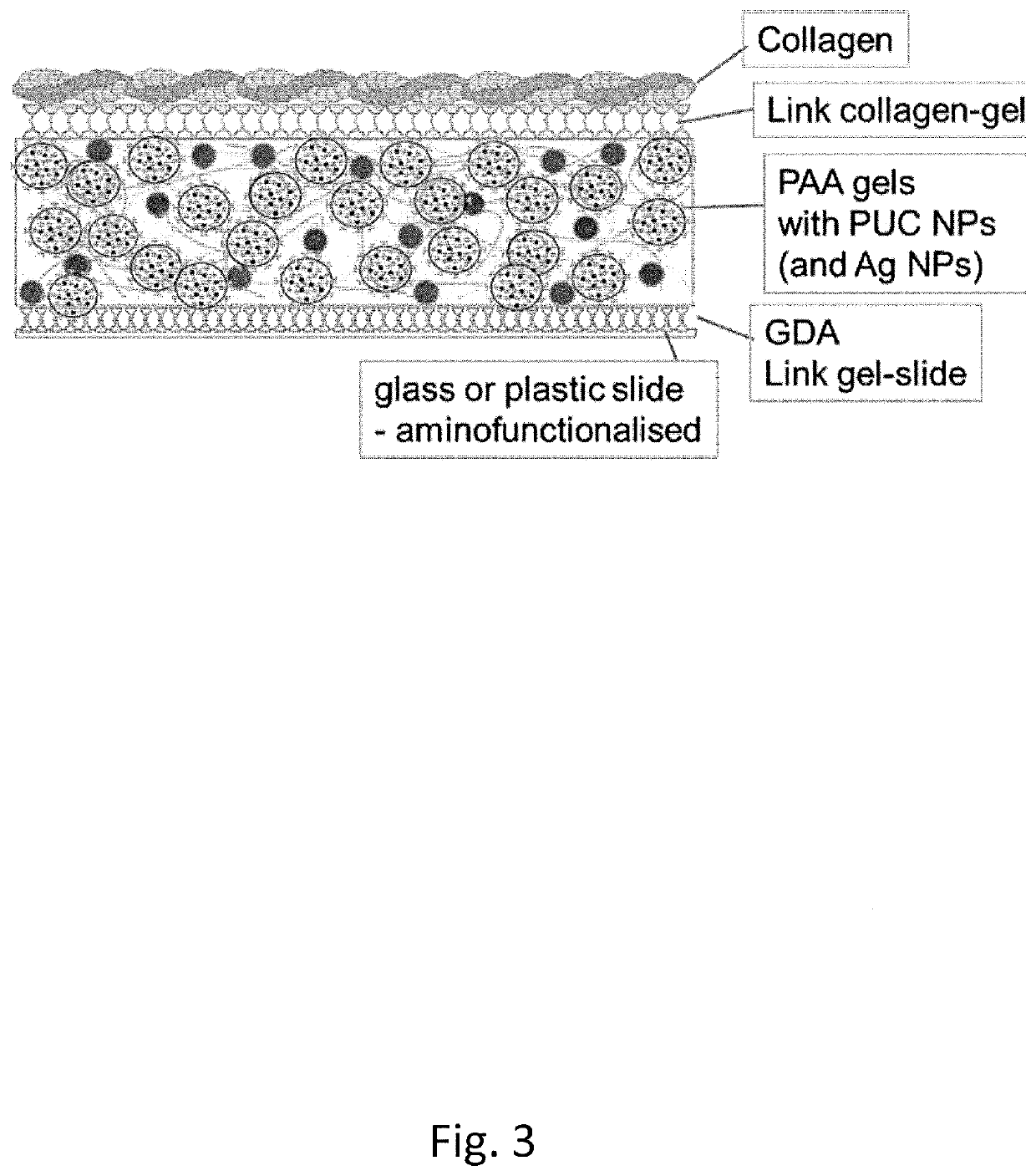 Sensor for the detection of biomolecules