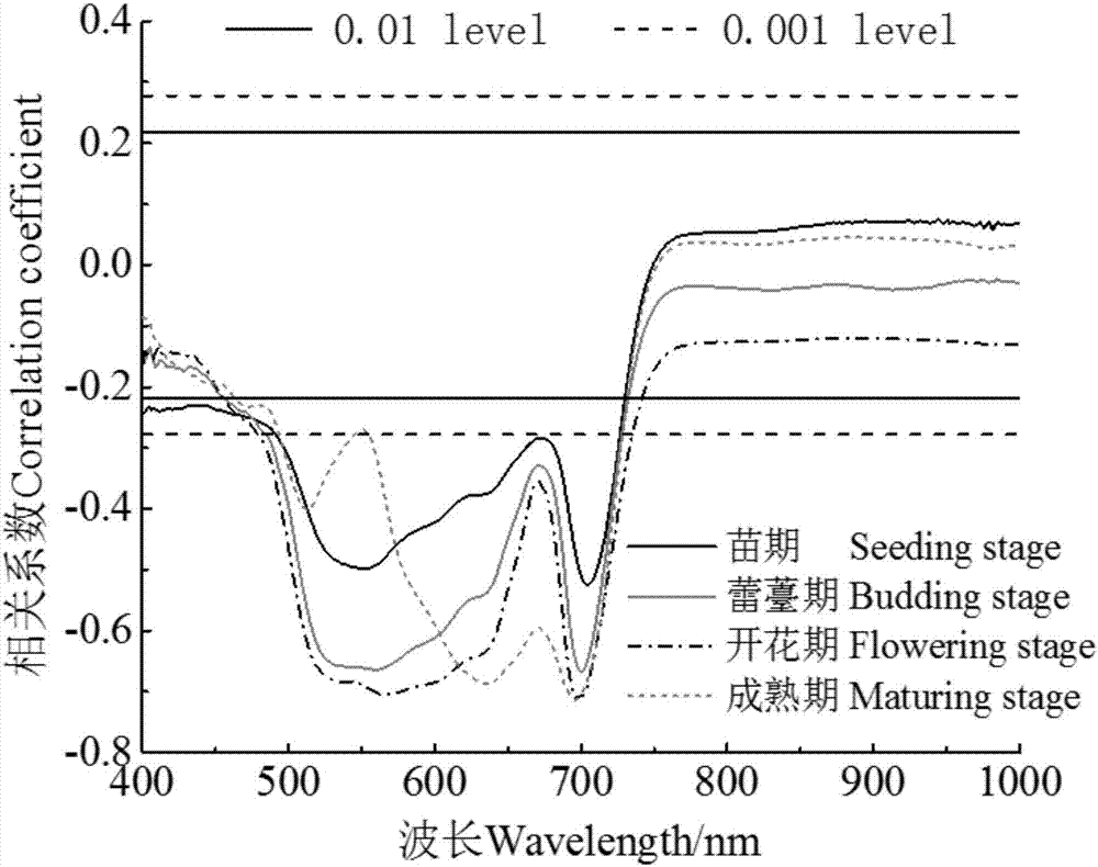 Remote sensing estimation method for SPAD value of rape leaves in different growth periods