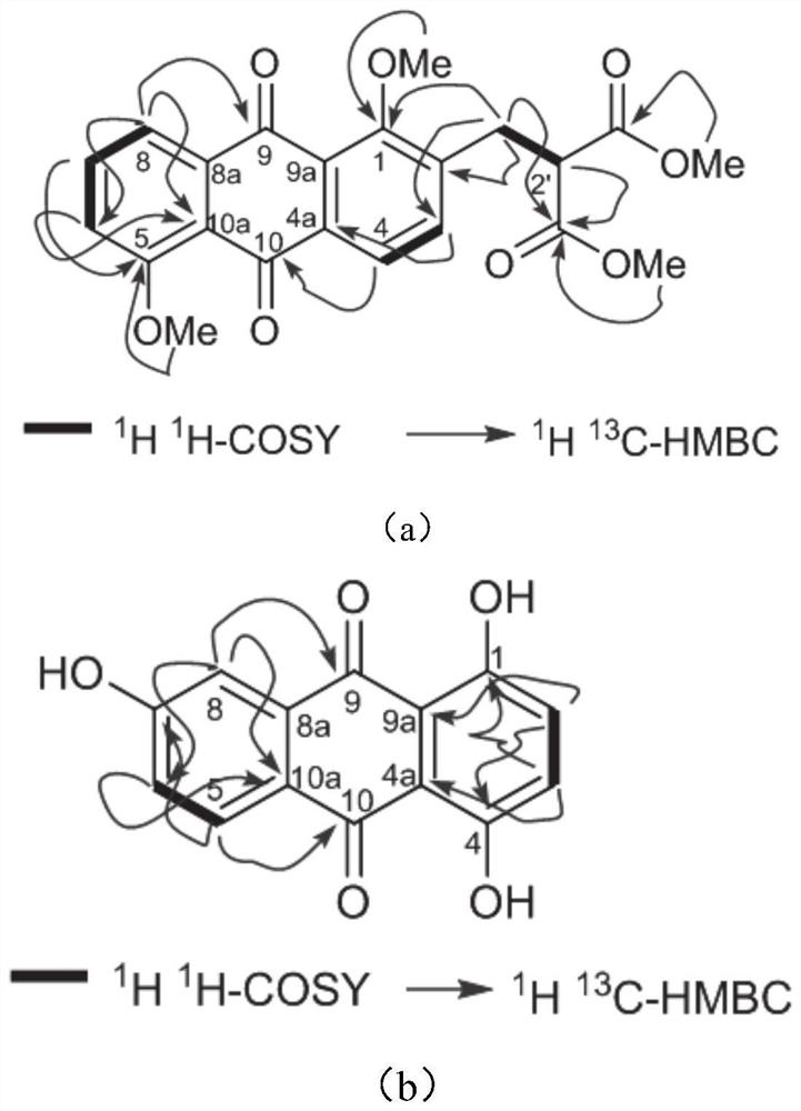 Anthraquinone compound and preparation method of anthraquinone compound from ranunculus davidii