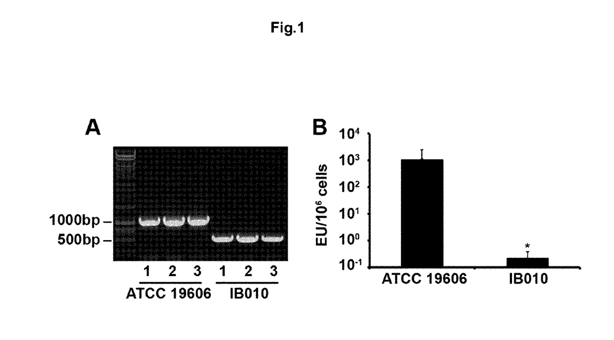 Vaccine against acinetobacter baumannii based on cellular components deficient in lipopolysaccharide