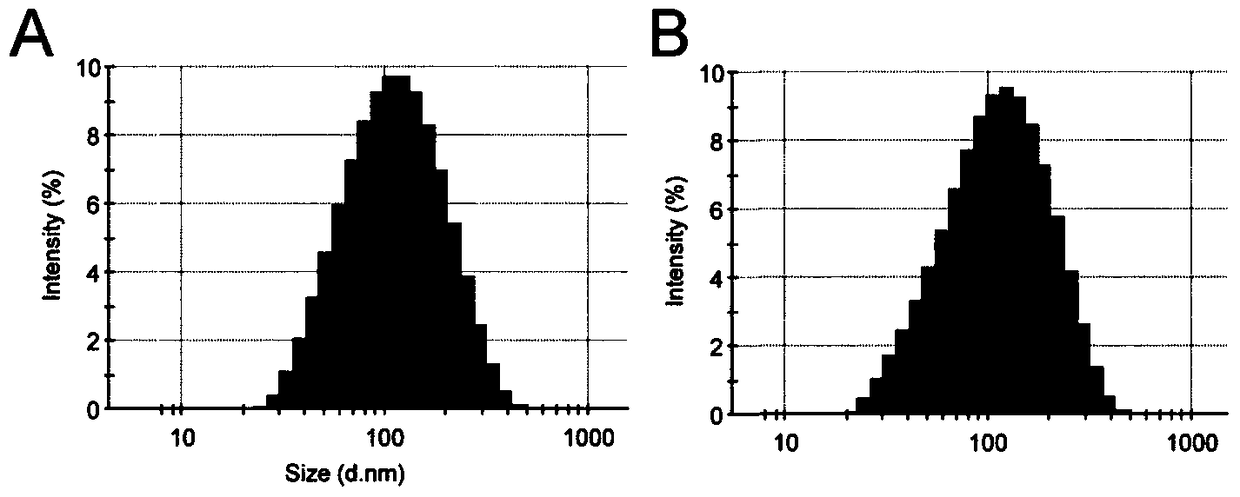 Liposome drug delivery system targeting tumor-associated fibroblasts