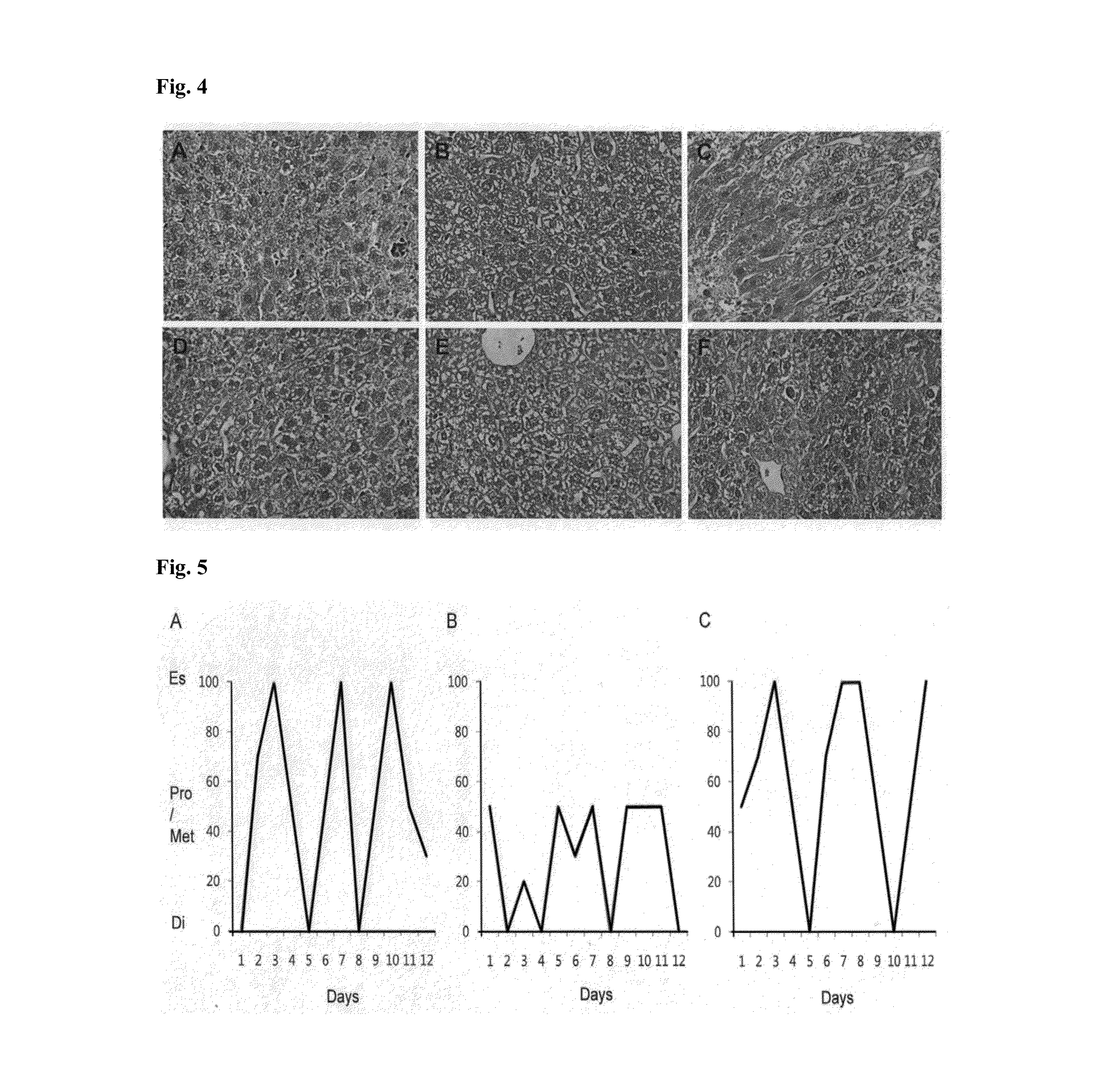 Pharmaceutical composition including a testis extract as an active ingredient for treating and preventing anemia