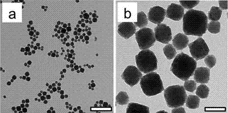 Fe-based metal organic skeleton nanoparticles with function of near-infrared absorption, and preparation method of Fe-based metal organic skeleton nanoparticles