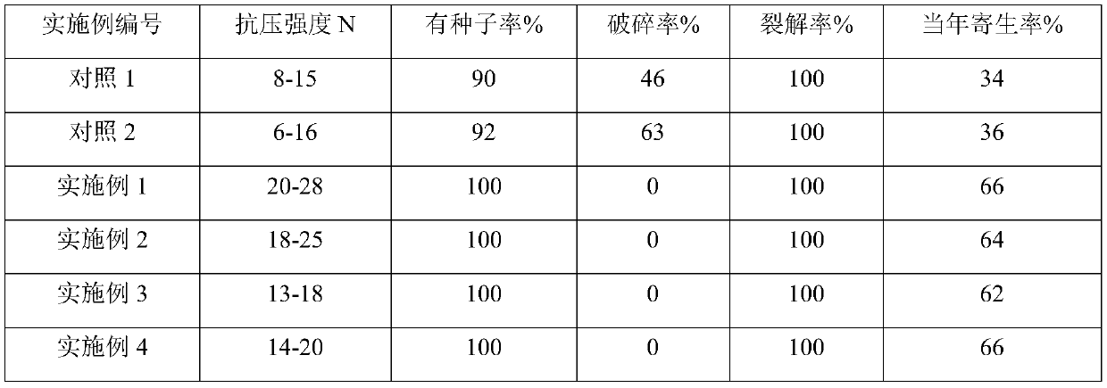 Cynomorium songaricum seed grain and preparation method thereof