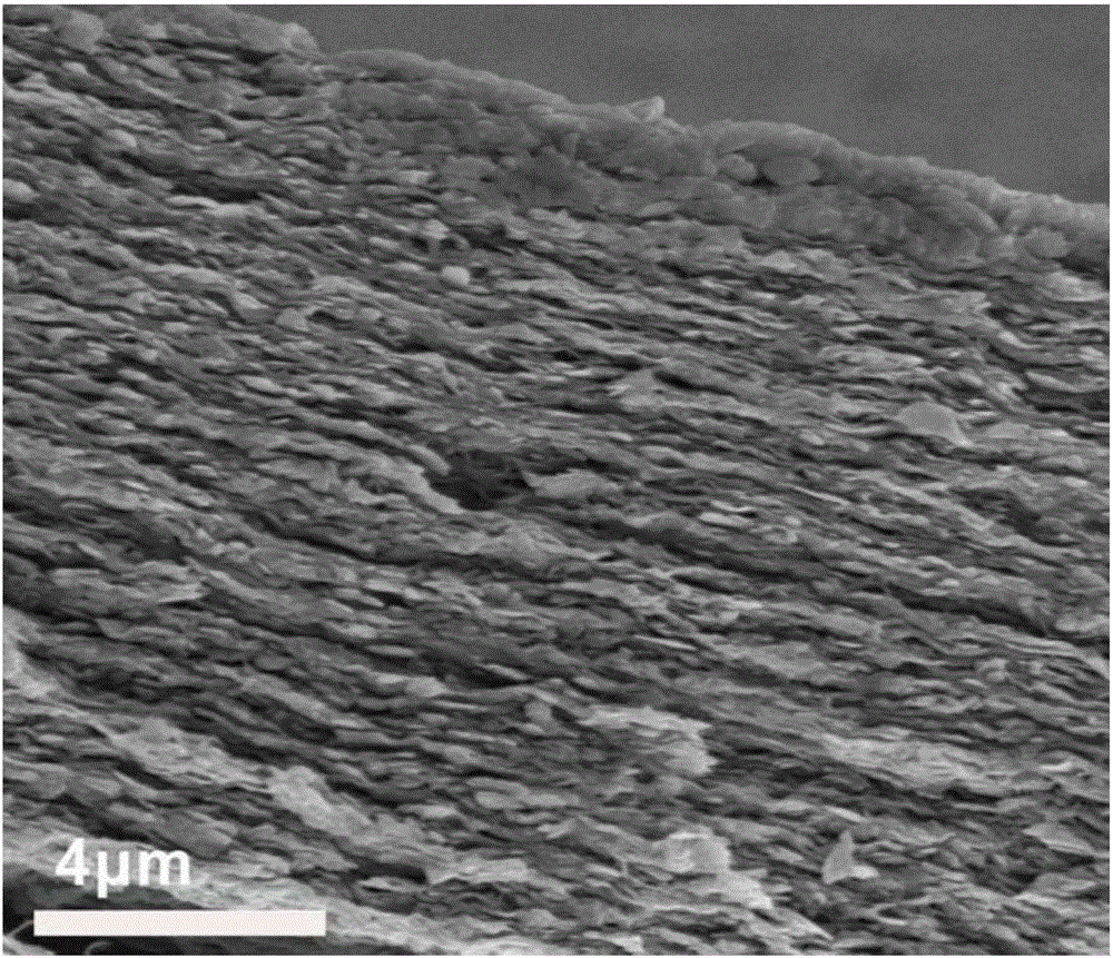 Boron nitride doped composite material and preparation method and ...