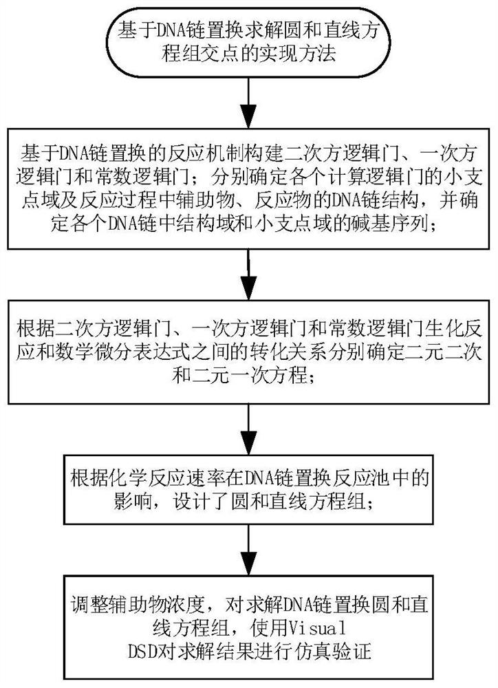 An implementation method for solving a circle and straight line equation set intersection point based on DNA strand displacement