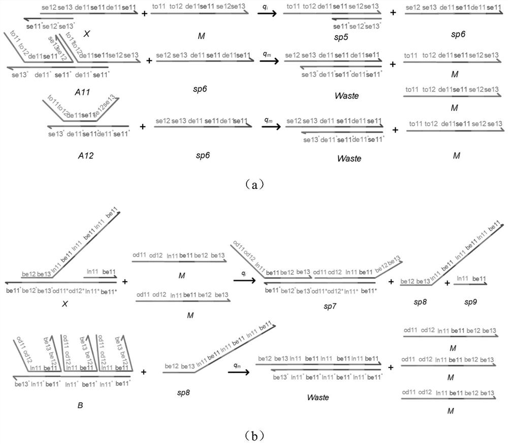 An implementation method for solving a circle and straight line equation set intersection point based on DNA strand displacement