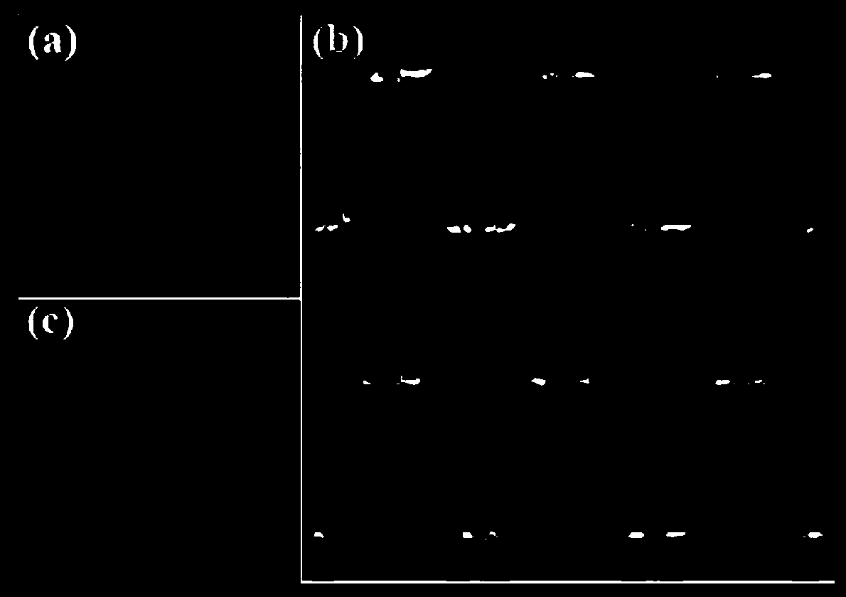 A multi-target non-radiative wireless power transfer system based on metamaterials