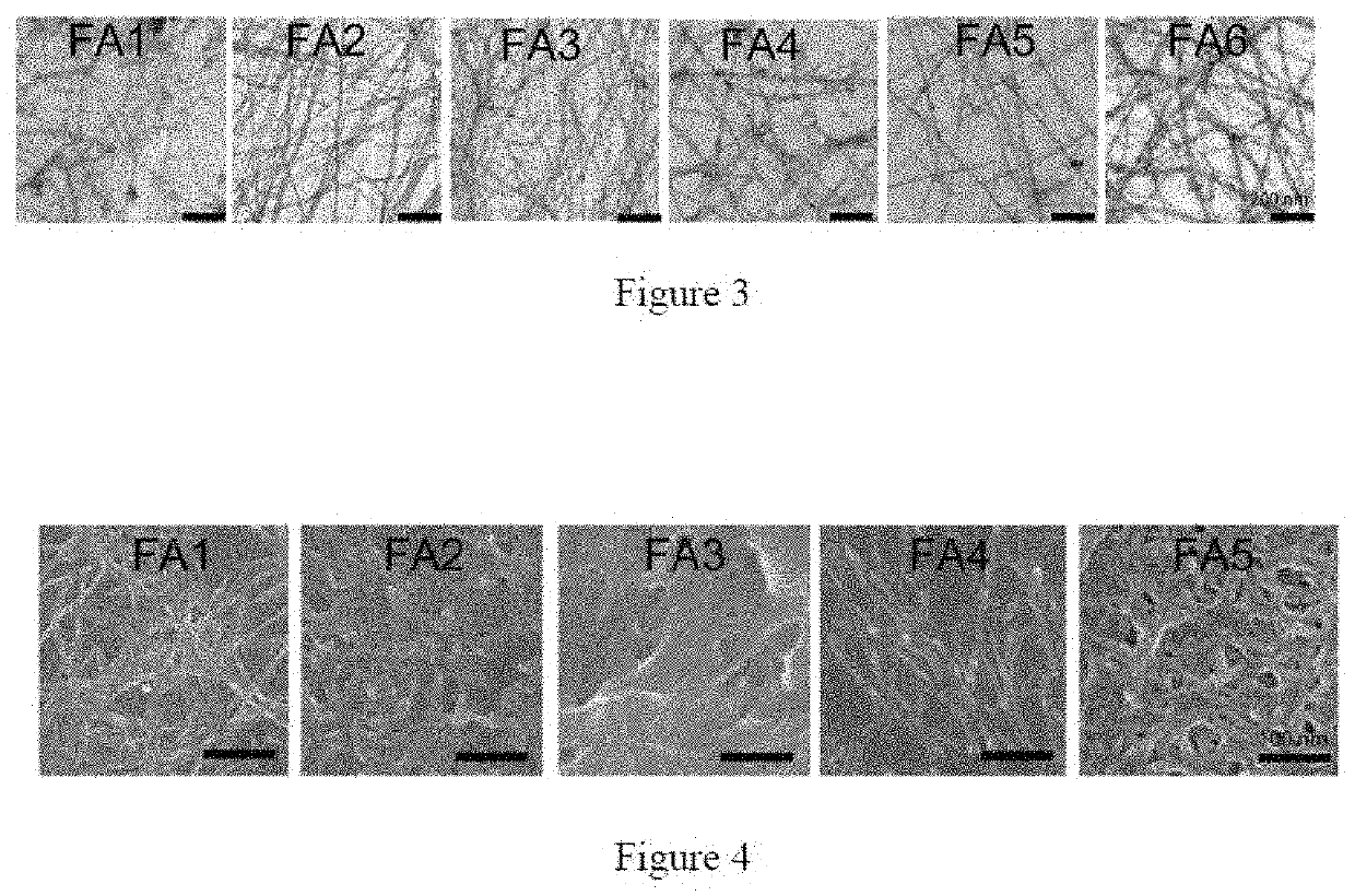 Functional amyloid hydrogels and applications thereof