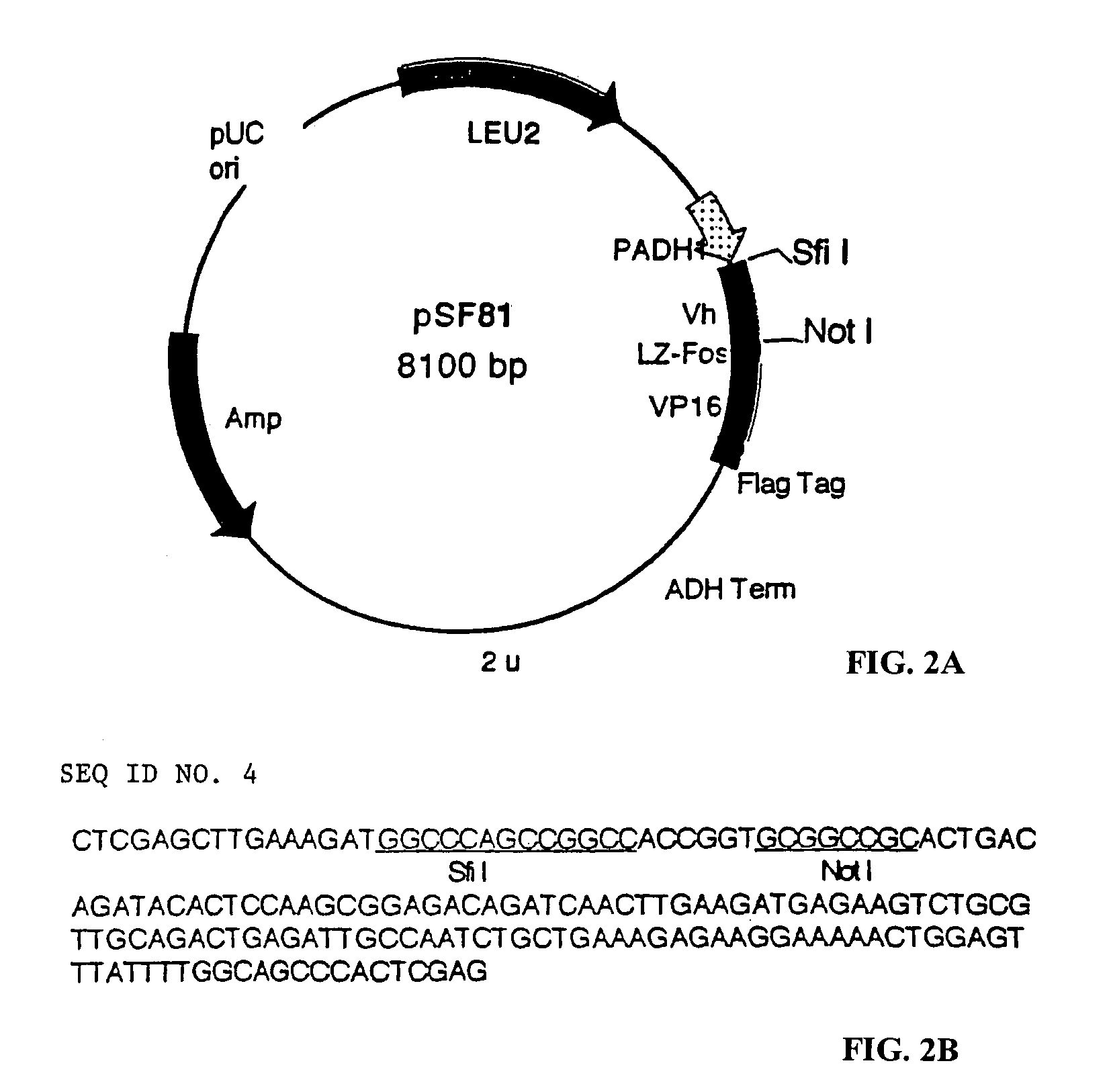 Compositions and methods for generating antigen-binding units