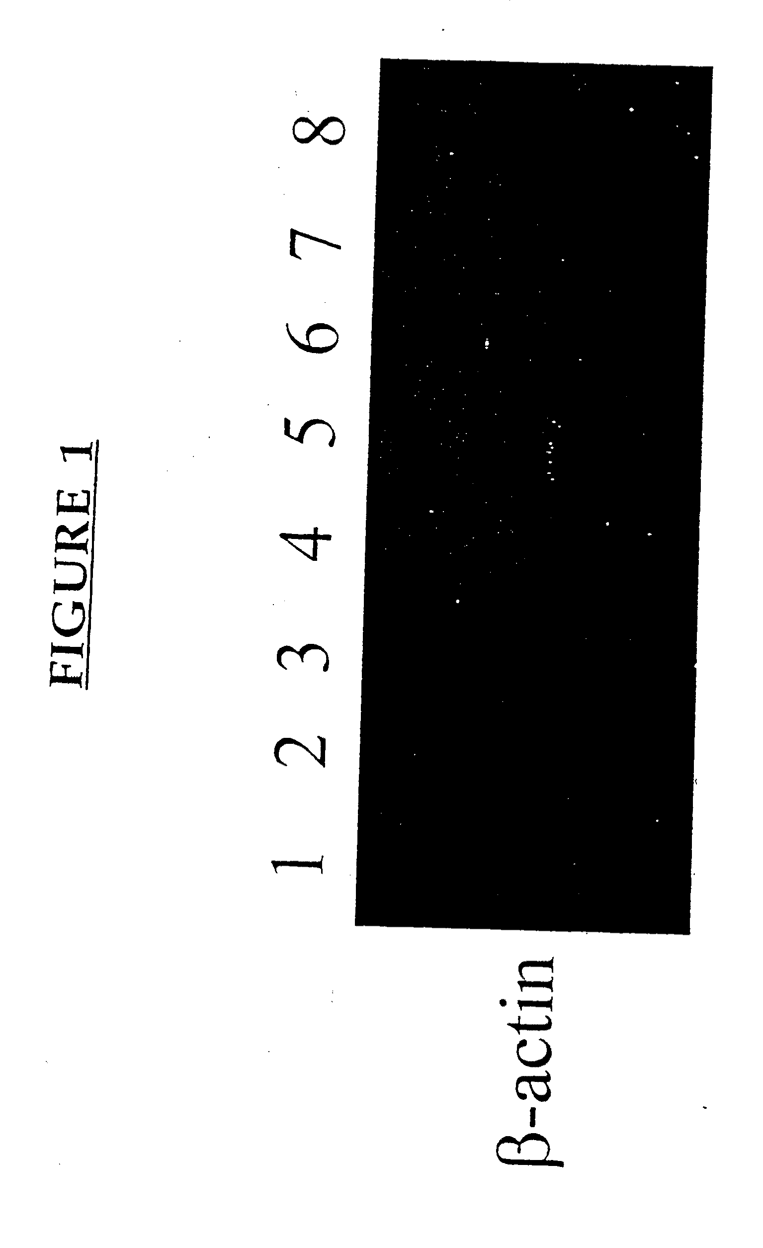 Methods and Compositions For Modulating Immunity