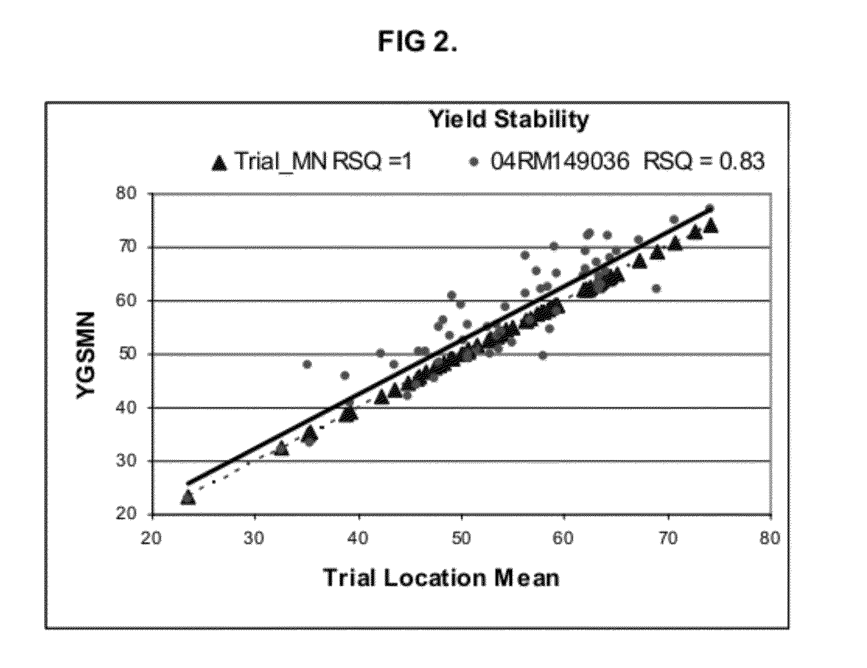 Soybean cultivar 04RM149036