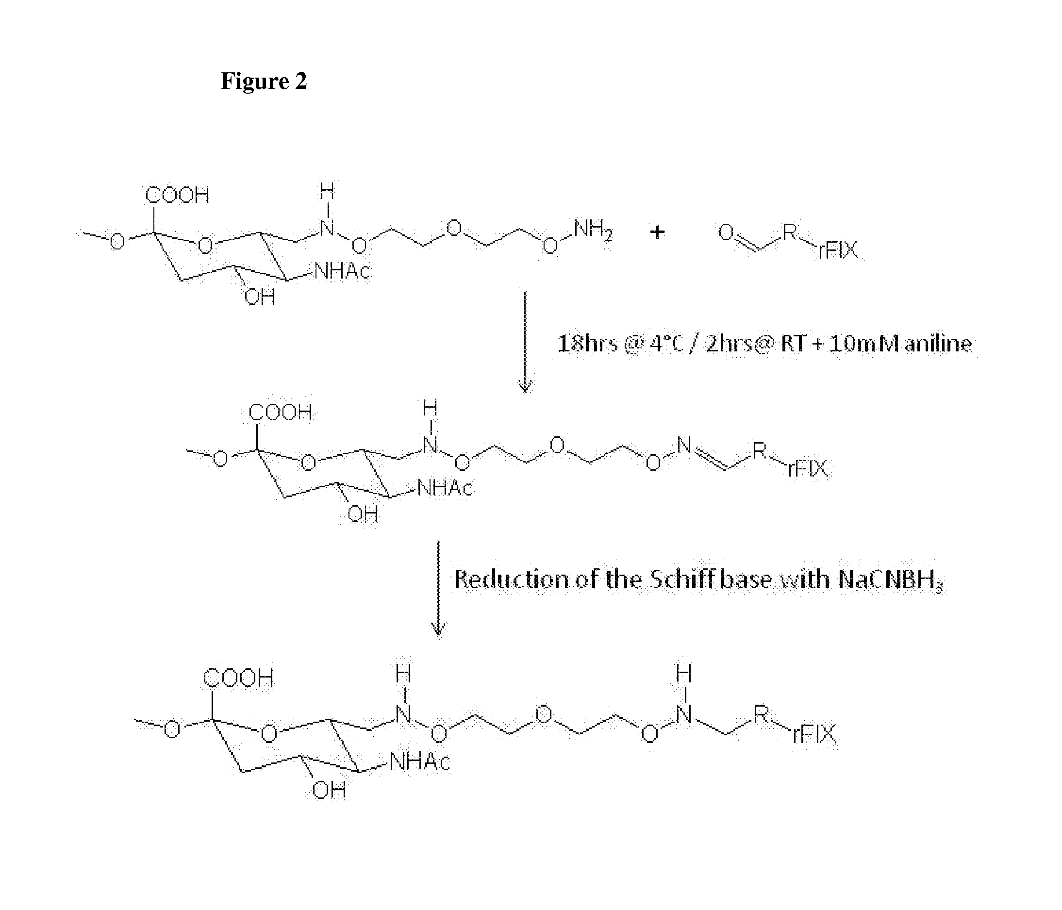 Nucleophilic catalysts for oxime linkage and use of nmr analyses of the same