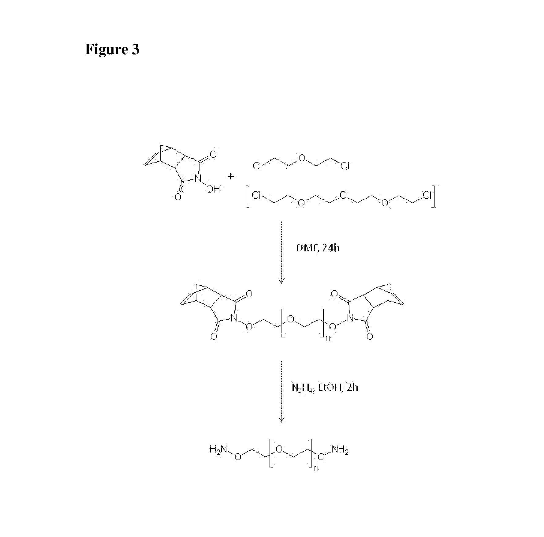 Nucleophilic catalysts for oxime linkage and use of nmr analyses of the same