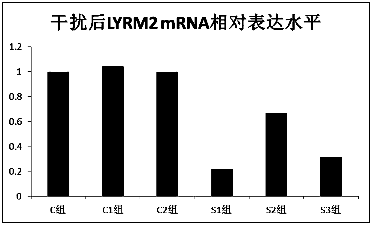 LYRM2 (LYR motif-containing 2) gene and new use of expression product thereof