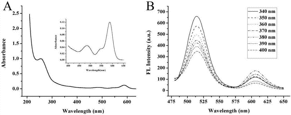 Method for synthesizing dye modified DNA (Deoxyribonucleic Acid) functionalized cadmium-containing quantum dots and application of quantum dots