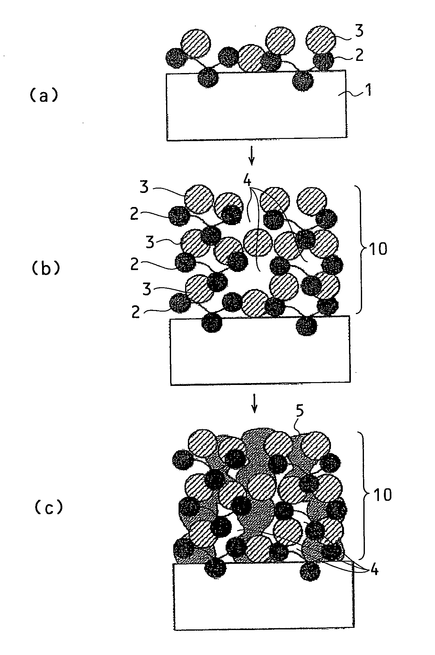 Film having low refractive index film and method for producing the same, Anti-relection film and method for producing the same, coating liquid set for low refractive index film, substrate having microparticle-laminated thin film and method for producing the same, and optical member