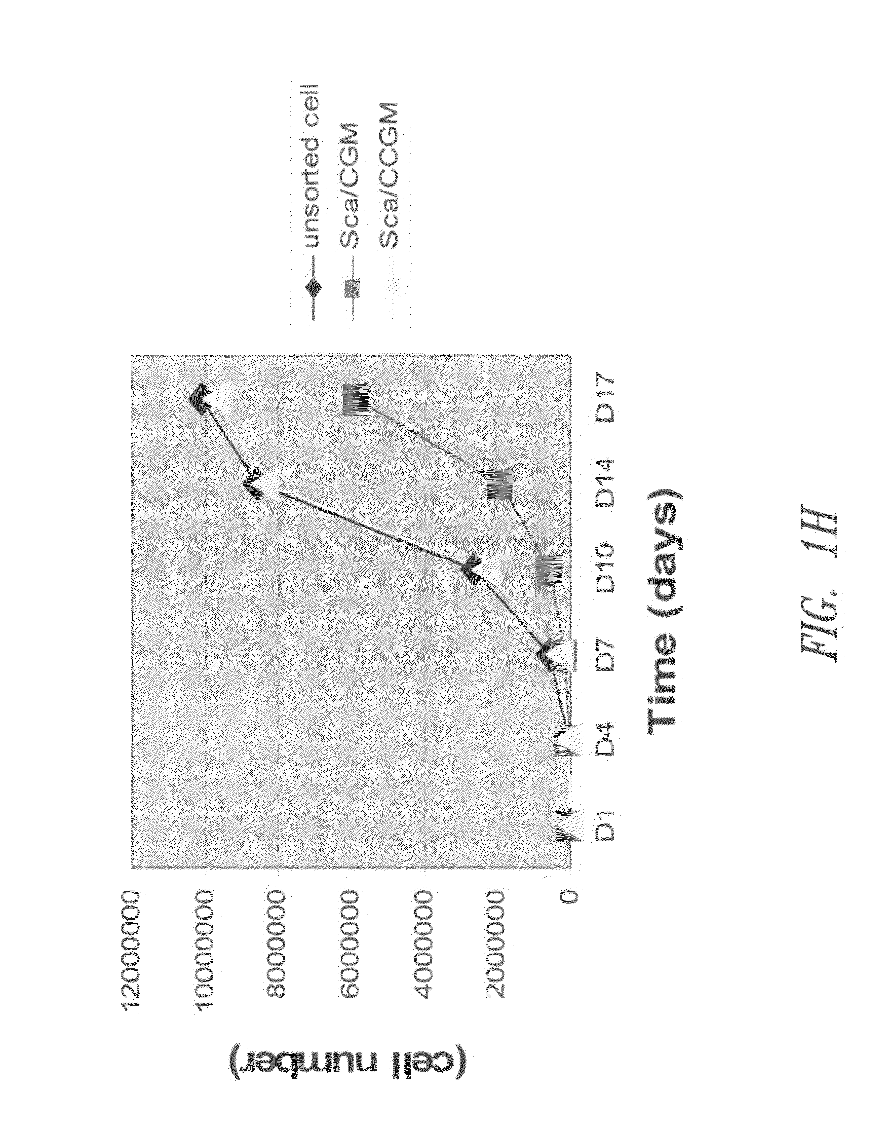 Enriched stem cell and progenitor cell populations, and methods of producing and using such populations