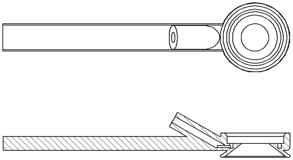 Fixing device for living animal imaging