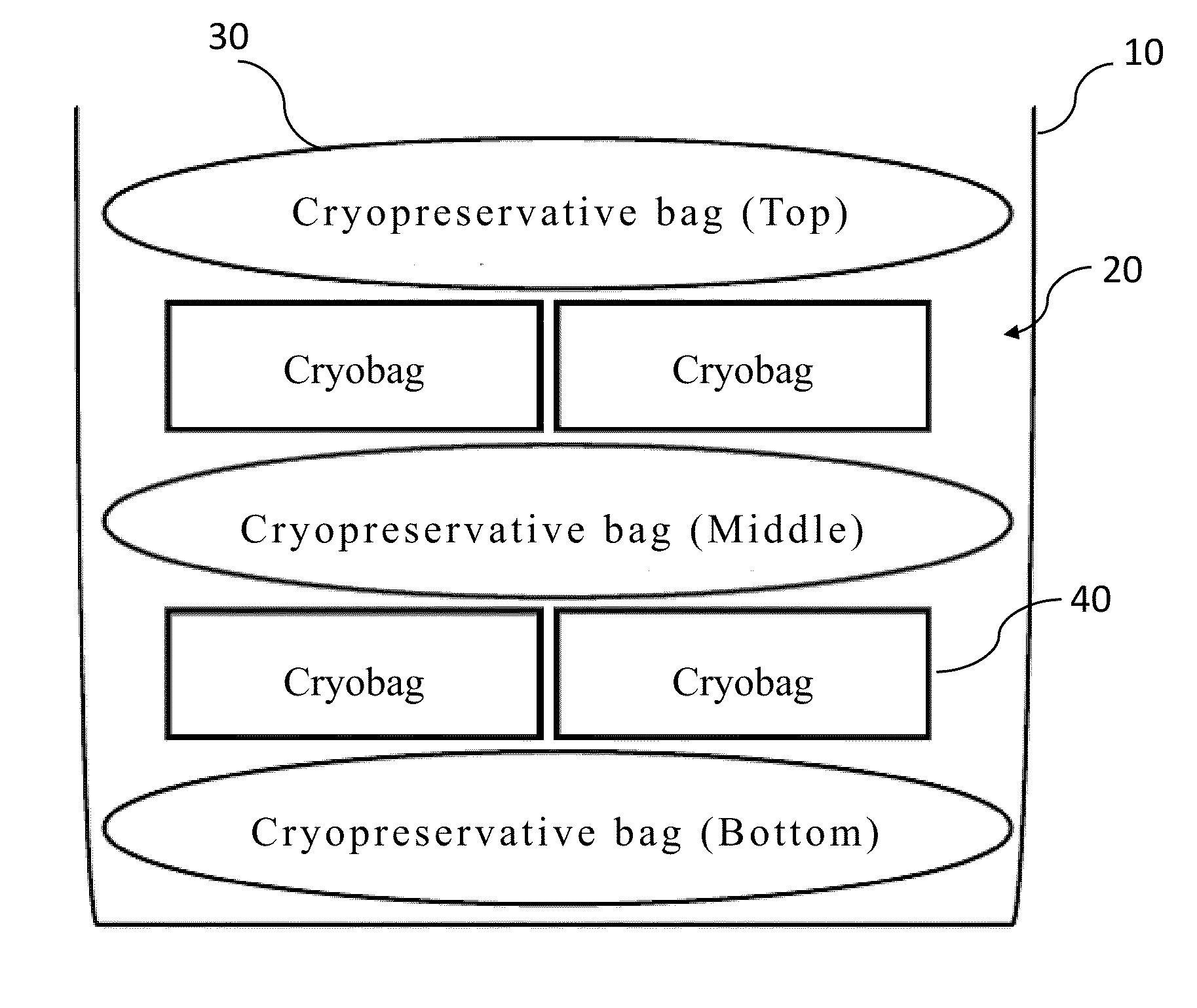 Cryopreservation storage device for cell collection bag, and using method thereof