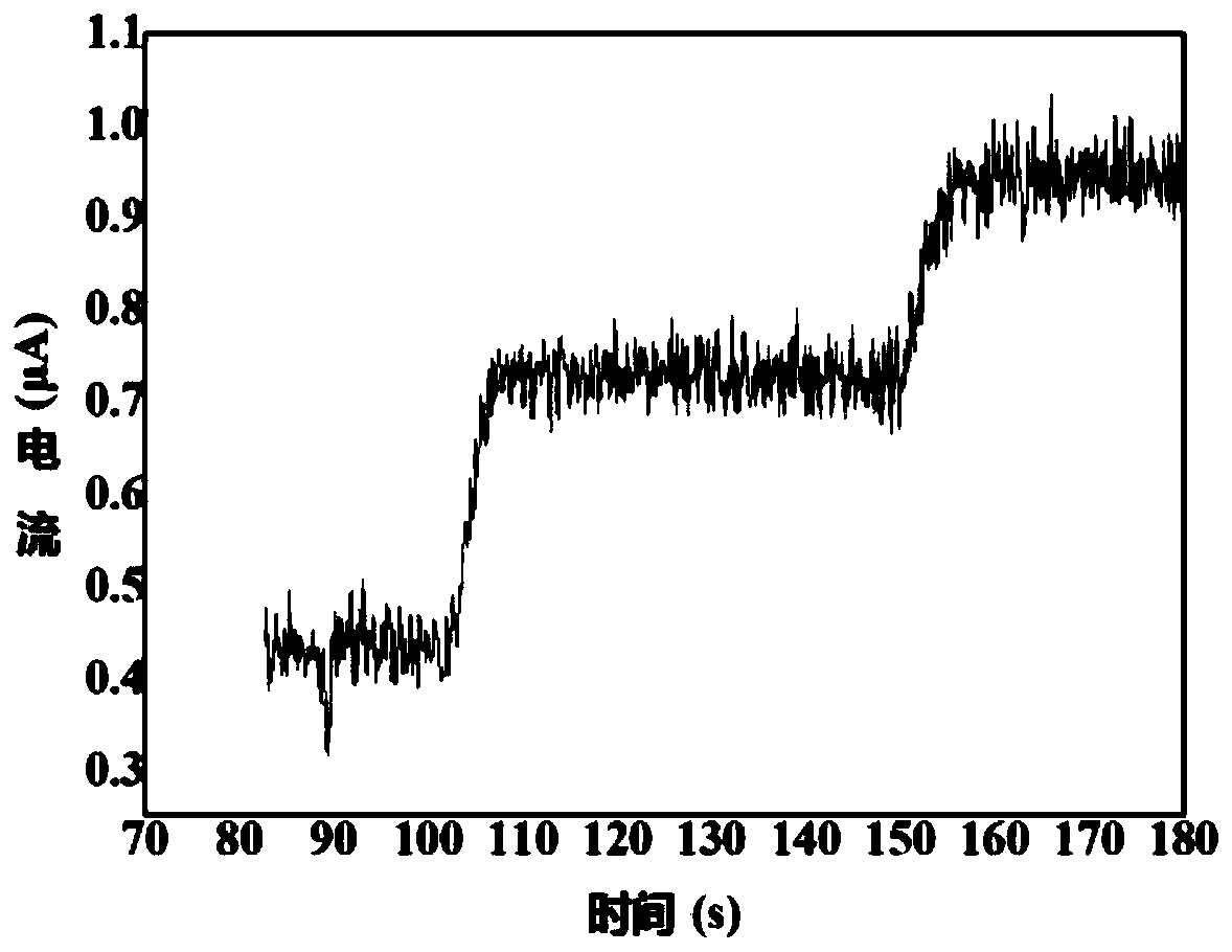 Preparation method of efficient sensing electrode of lactic acid sensor