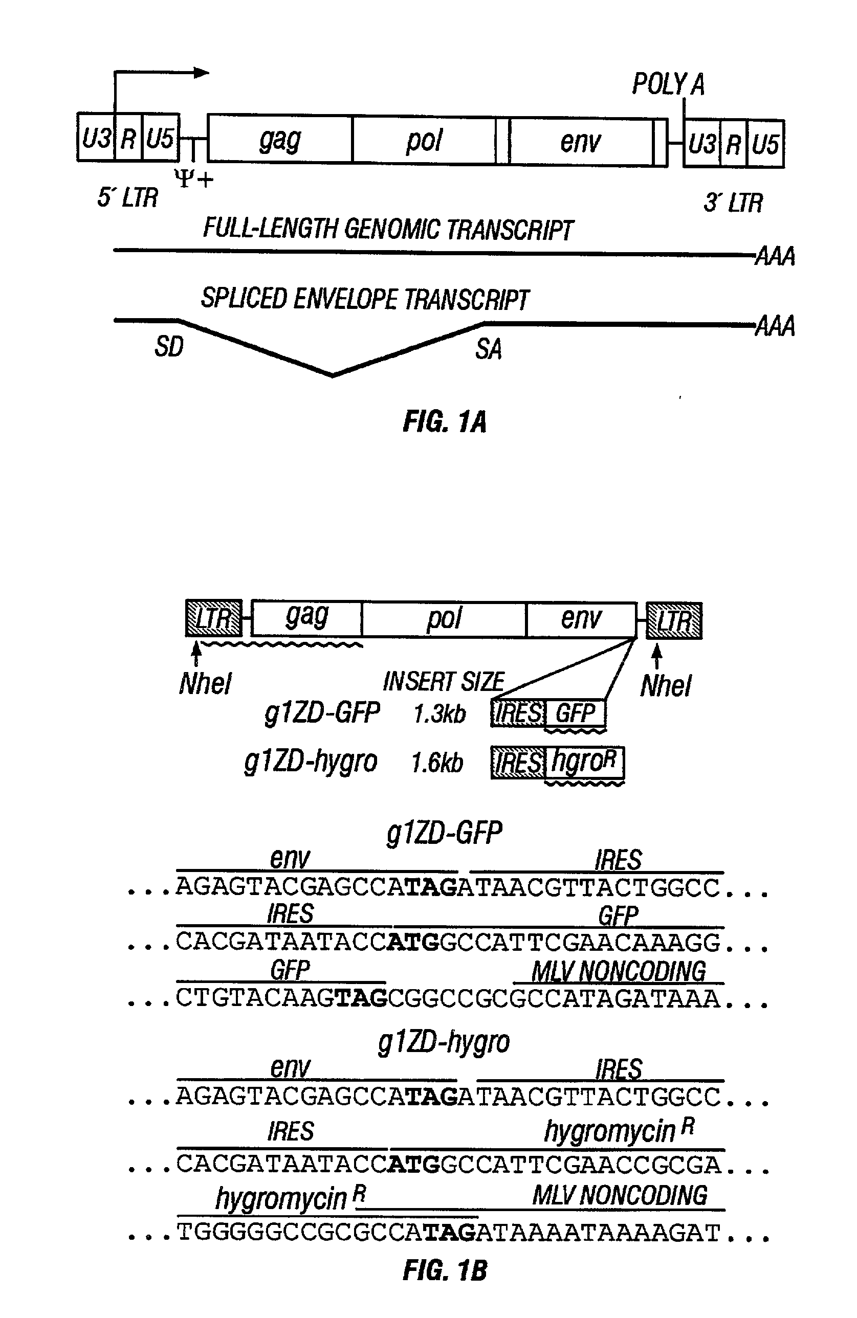 Gene delivery system and methods of use