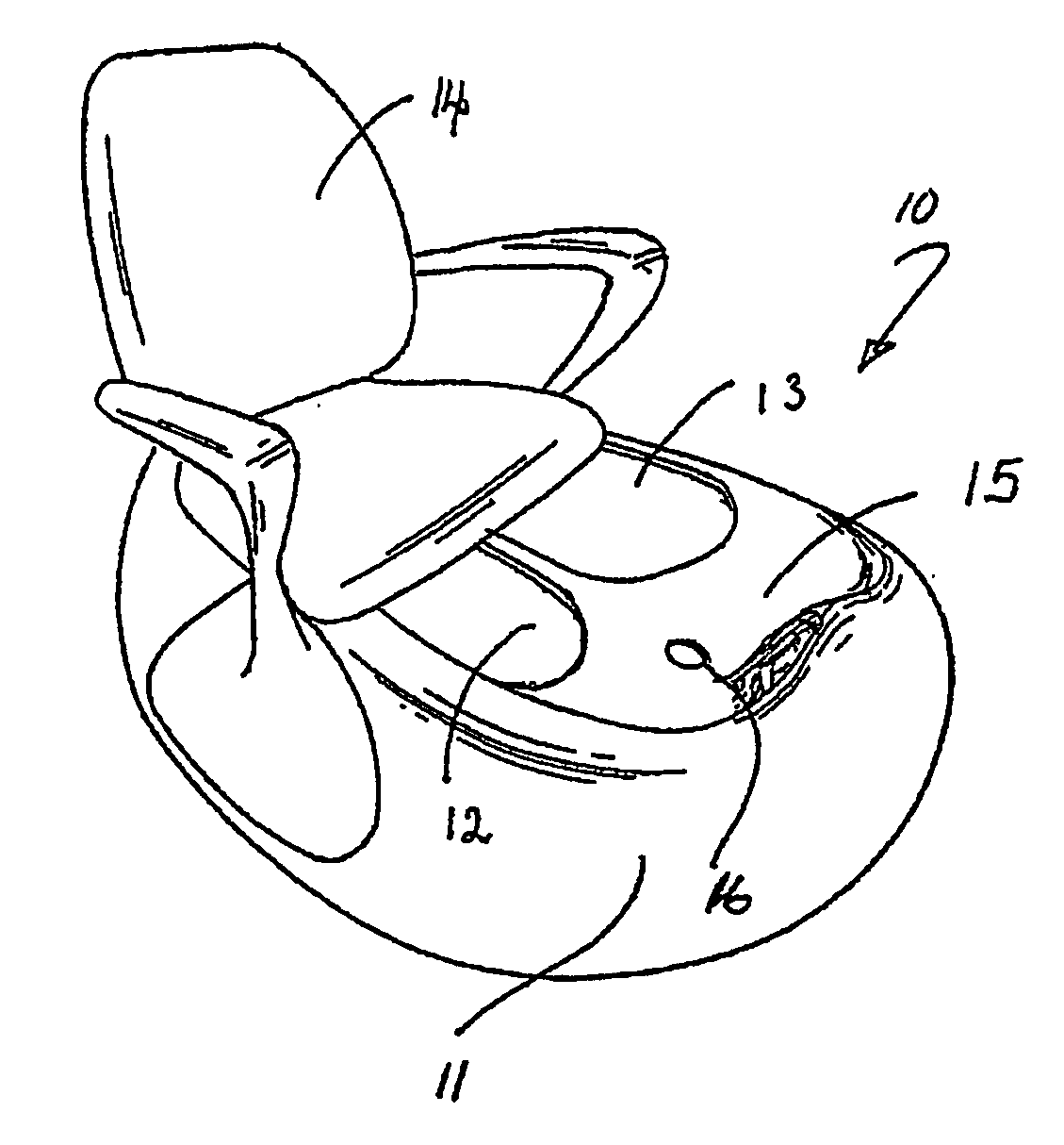 Hydrotherapy Apparatus for a Lower Extremity