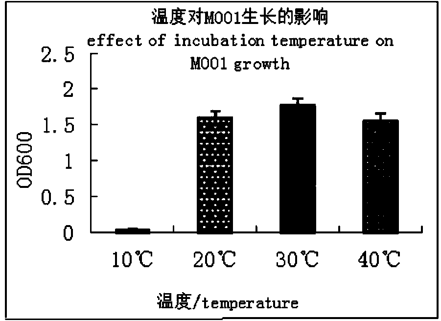 Bacillusamyloliquefaciens and application thereof