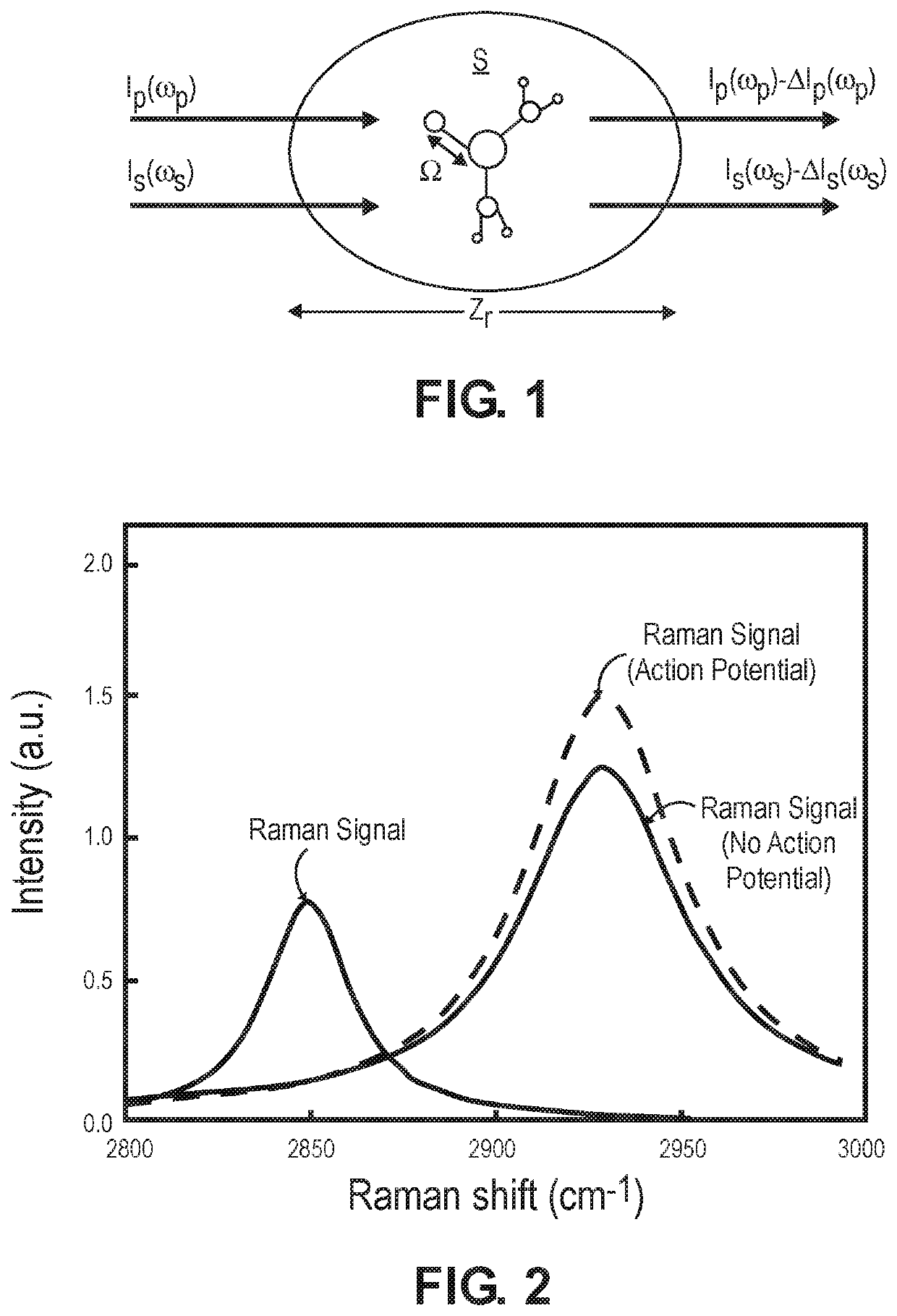Detection of fast-neural signal using depth-resolved spectroscopy