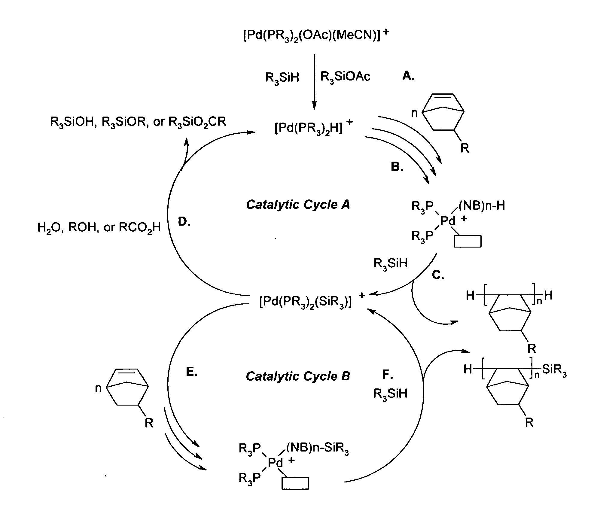 Vinyl addition polycylic olefin polymers prepared using non-olefinic chain transfer agents and uses thereof